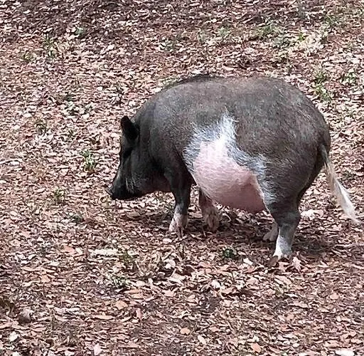 Cocon Entre Et Nature Holiday home *